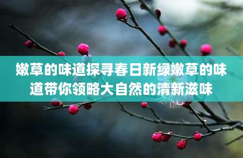 嫩草的味道探寻春日新绿嫩草的味道带你领略大自然的清新滋味
