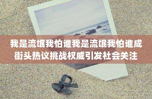 我是流氓我怕谁我是流氓我怕谁成街头热议挑战权威引发社会关注