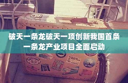 破天一条龙破天一项创新我国首条一条龙产业项目全面启动