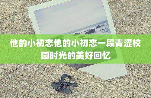 他的小初恋他的小初恋一段青涩校园时光的美好回忆