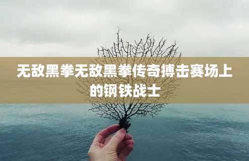 无敌黑拳无敌黑拳传奇搏击赛场上的钢铁战士