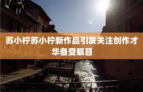 苏小柠苏小柠新作品引发关注创作才华备受瞩目