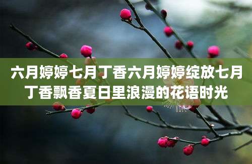 六月婷婷七月丁香六月婷婷绽放七月丁香飘香夏日里浪漫的花语时光