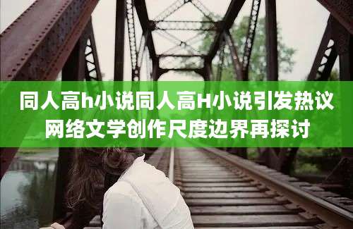 同人高h小说同人高H小说引发热议网络文学创作尺度边界再探讨