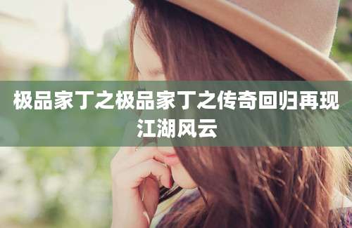 极品家丁之极品家丁之传奇回归再现江湖风云