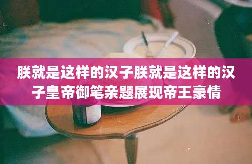朕就是这样的汉子朕就是这样的汉子皇帝御笔亲题展现帝王豪情