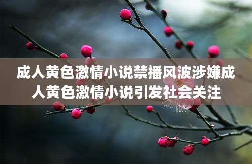成人黄色激情小说禁播风波涉嫌成人黄色激情小说引发社会关注