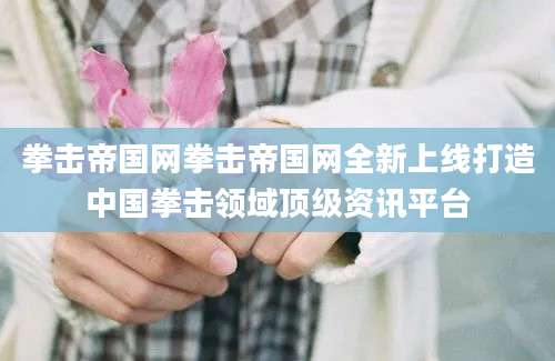 拳击帝国网拳击帝国网全新上线打造中国拳击领域顶级资讯平台