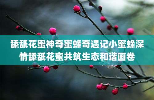舔舐花蜜神奇蜜蜂奇遇记小蜜蜂深情舔舐花蜜共筑生态和谐画卷