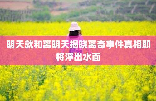 明天就和离明天揭晓离奇事件真相即将浮出水面