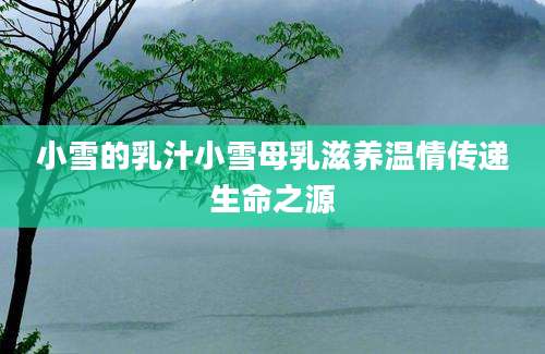 小雪的乳汁小雪母乳滋养温情传递生命之源