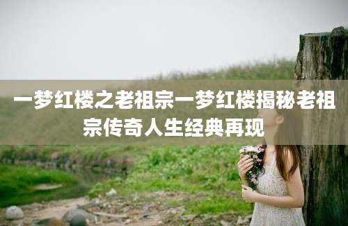 一梦红楼之老祖宗一梦红楼揭秘老祖宗传奇人生经典再现