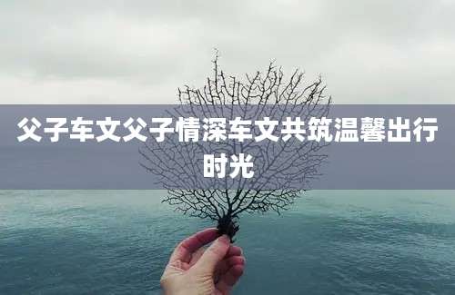 父子车文父子情深车文共筑温馨出行时光