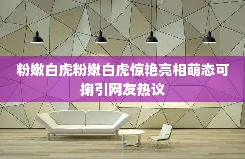 粉嫩白虎粉嫩白虎惊艳亮相萌态可掬引网友热议