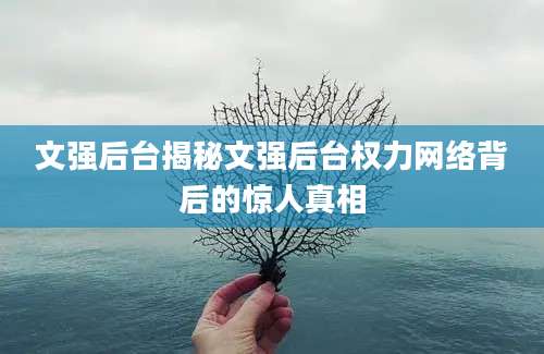 文强后台揭秘文强后台权力网络背后的惊人真相