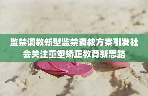 监禁调教新型监禁调教方案引发社会关注重塑矫正教育新思路