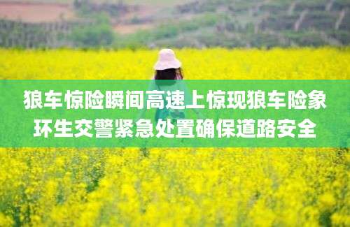 狼车惊险瞬间高速上惊现狼车险象环生交警紧急处置确保道路安全