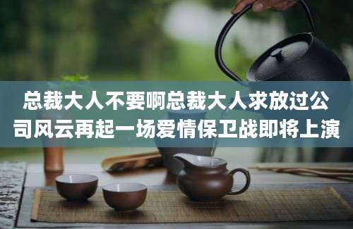 总裁大人不要啊总裁大人求放过公司风云再起一场爱情保卫战即将上演