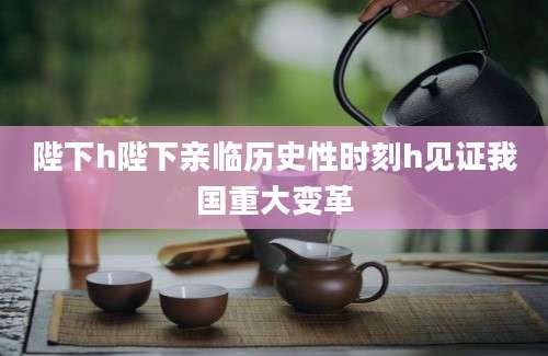 陛下h陛下亲临历史性时刻h见证我国重大变革