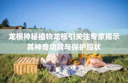龙根神秘植物龙根引关注专家揭示其神奇功效与保护现状