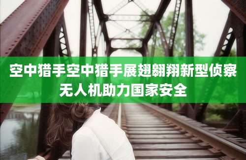空中猎手空中猎手展翅翱翔新型侦察无人机助力国家安全