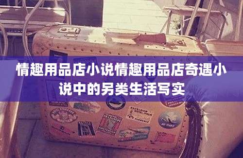 情趣用品店小说情趣用品店奇遇小说中的另类生活写实
