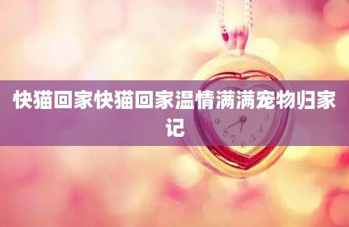 快猫回家快猫回家温情满满宠物归家记