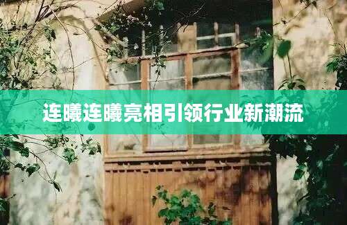 连曦连曦亮相引领行业新潮流