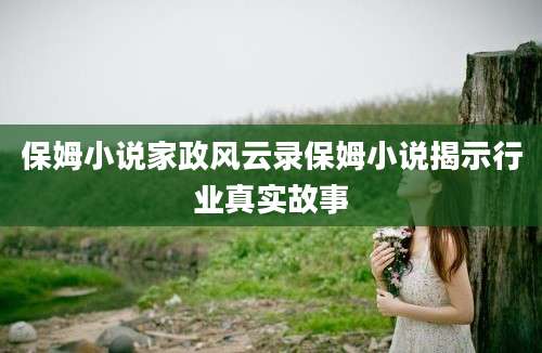 保姆小说家政风云录保姆小说揭示行业真实故事