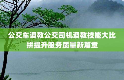 公交车调教公交司机调教技能大比拼提升服务质量新篇章