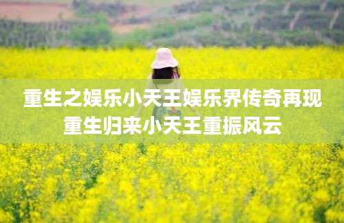 重生之娱乐小天王娱乐界传奇再现重生归来小天王重振风云