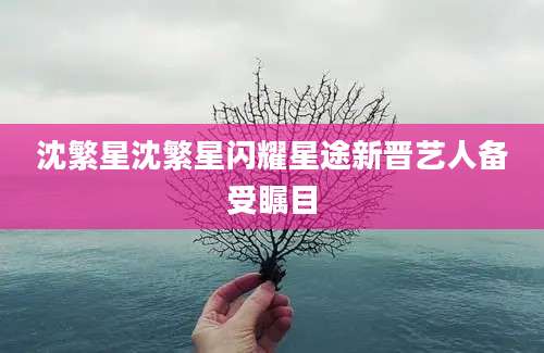 沈繁星沈繁星闪耀星途新晋艺人备受瞩目