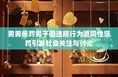 男男惩罚男子因违规行为遭同性惩罚引发社会关注与讨论