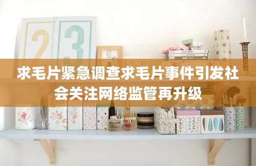 求毛片紧急调查求毛片事件引发社会关注网络监管再升级
