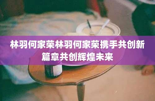 林羽何家荣林羽何家荣携手共创新篇章共创辉煌未来