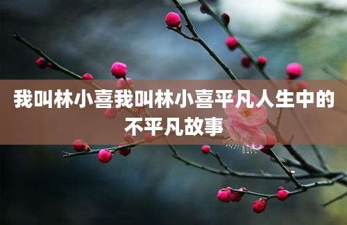 我叫林小喜我叫林小喜平凡人生中的不平凡故事