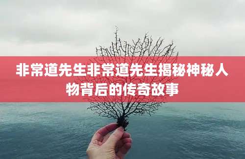 非常道先生非常道先生揭秘神秘人物背后的传奇故事