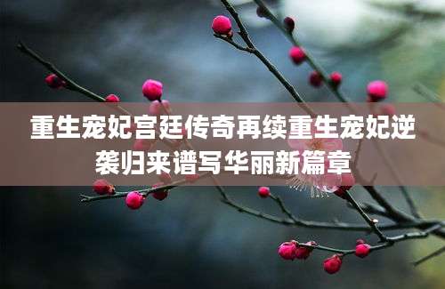 重生宠妃宫廷传奇再续重生宠妃逆袭归来谱写华丽新篇章