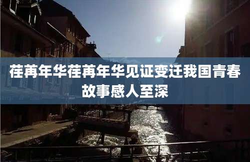 荏苒年华荏苒年华见证变迁我国青春故事感人至深
