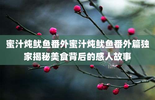 蜜汁炖鱿鱼番外蜜汁炖鱿鱼番外篇独家揭秘美食背后的感人故事