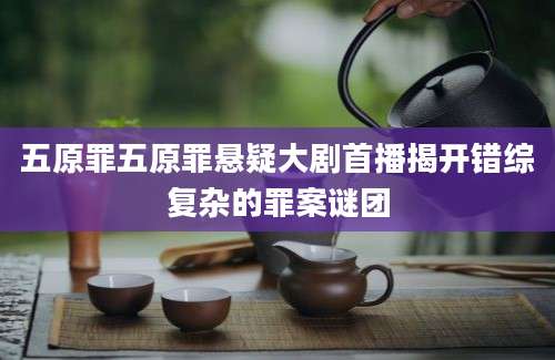 五原罪五原罪悬疑大剧首播揭开错综复杂的罪案谜团