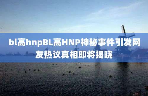 bl高hnpBL高HNP神秘事件引发网友热议真相即将揭晓