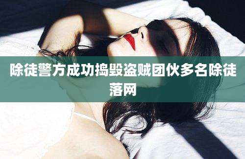 除徒警方成功捣毁盗贼团伙多名除徒落网