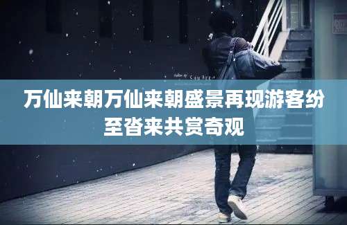 万仙来朝万仙来朝盛景再现游客纷至沓来共赏奇观