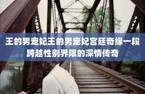 王的男宠妃王的男宠妃宫廷奇缘一段跨越性别界限的深情传奇