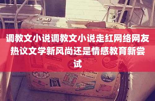 调教文小说调教文小说走红网络网友热议文学新风尚还是情感教育新尝试