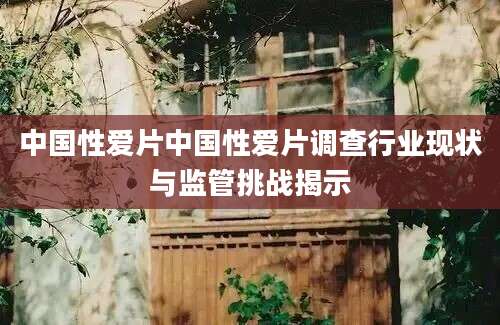中国性爱片中国性爱片调查行业现状与监管挑战揭示