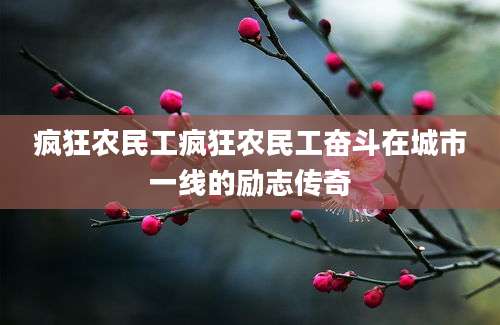 疯狂农民工疯狂农民工奋斗在城市一线的励志传奇