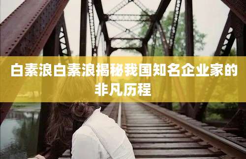 白素浪白素浪揭秘我国知名企业家的非凡历程
