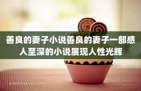 善良的妻子小说善良的妻子一部感人至深的小说展现人性光辉